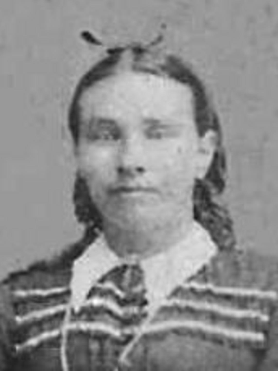 Elizabeth Barnes (1843 - 1916) Profile